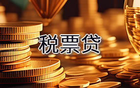 张掖税票贷